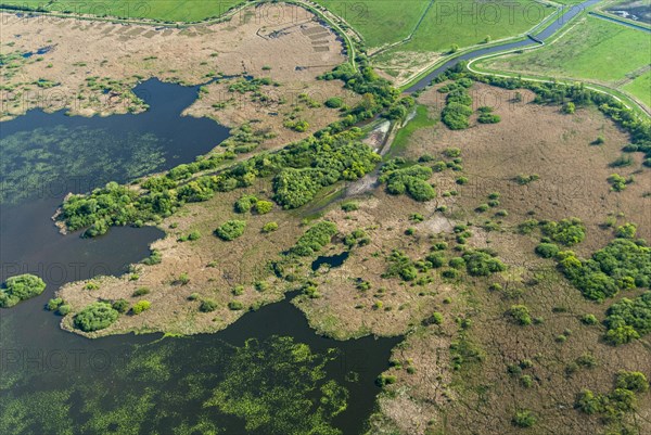 Aerial photograph of Lake Duemmer with reed zone