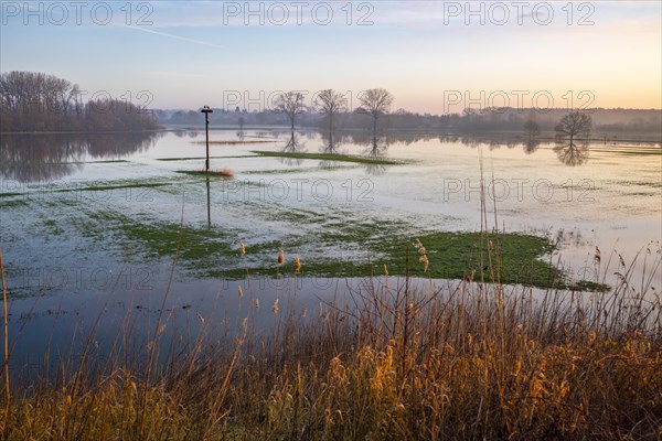 Flooding of the Lippe floodplains in the Klostermersch nature reserve