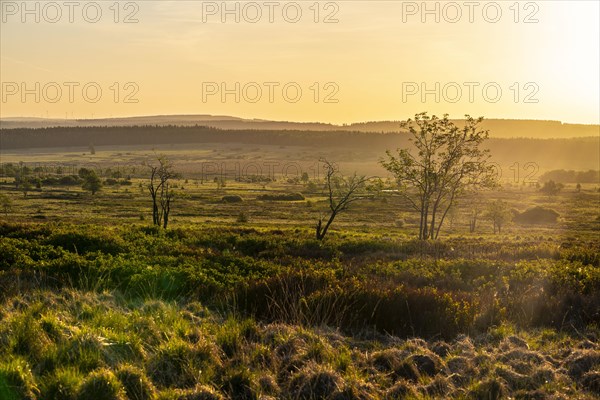 Sunrise in the High Fens