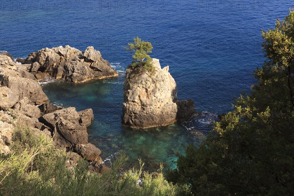 Rocky coast of Paleokastritia