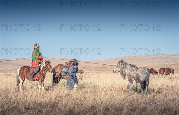 Riders catching the horse with the long pole. Dornod Province