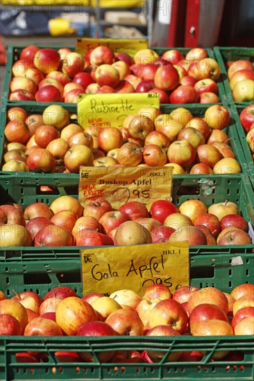 Apples with price tags at a market stall