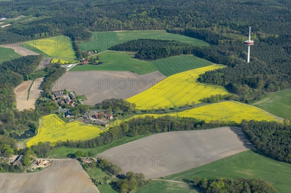 Aerial view of agricultural landscape in spring