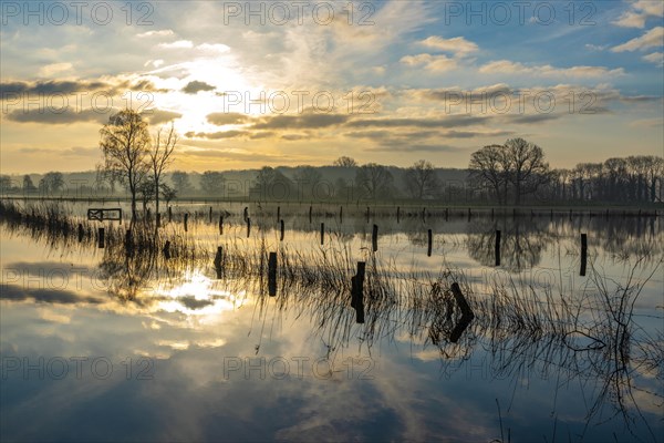 Flooding of the Lippe floodplains on the River Lippe at sunrise