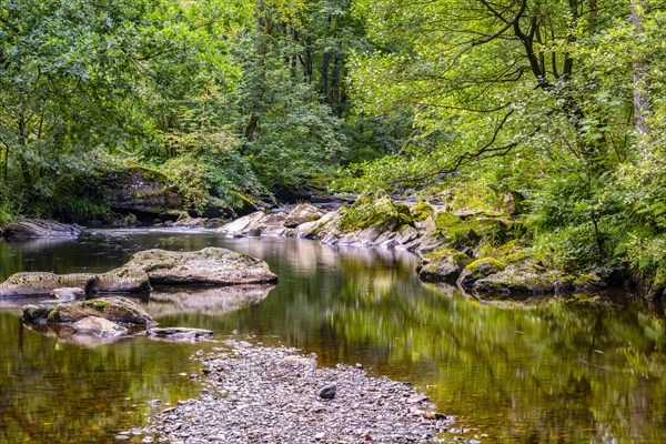 The upper reaches of the Rur