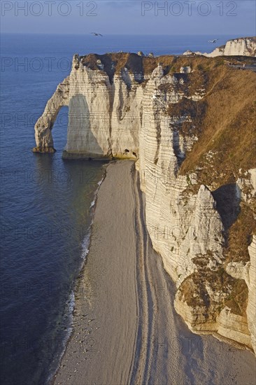 Chalk cliffs