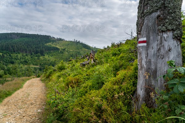 Marking the hiking trail in red