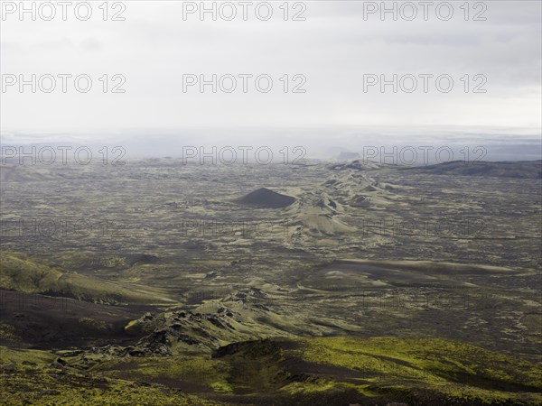 Mossy volcanic landscape