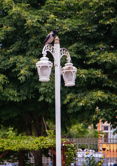 Old electric street lamps made of metal in retro style