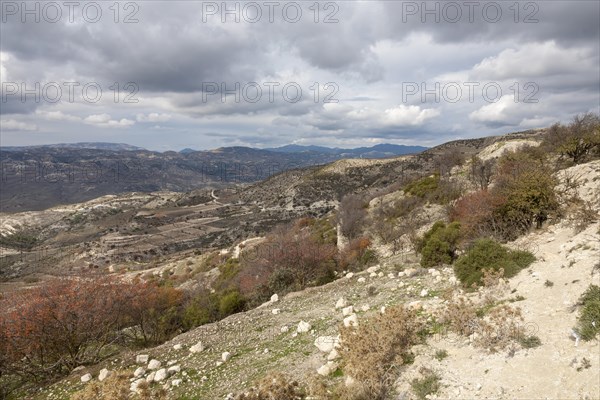 Landscape in the Troodos Mountains