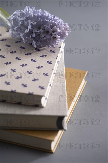 Three books with lilac
