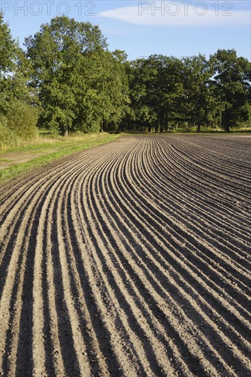 Grooves on a field. Germany