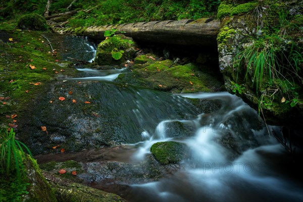 Wooden ladders over the stream in the gorges of the Slovak Paradise. Slovakia