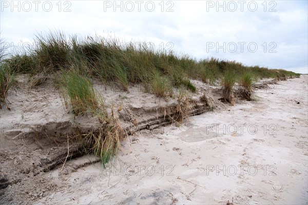 Natural beach in autumn