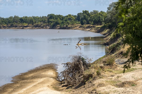 Luangwa riverbank