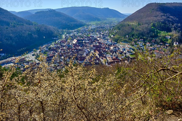 View from Michelskaeppele over Bad Urach