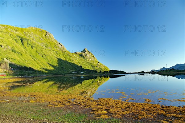 Long shadows and green mountain landscapes