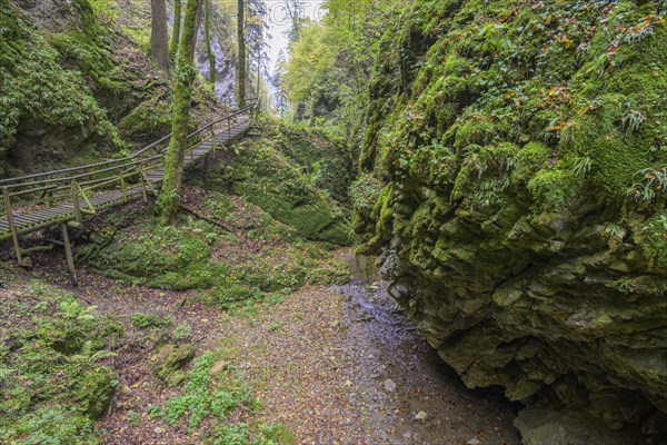 Climbing installation in the Kesselfallklamm