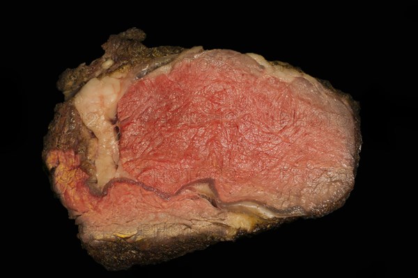 Cut of a pink roasted entrecote