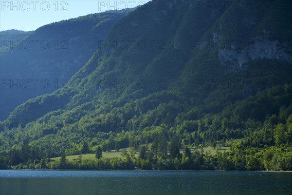 Lateral sunlight on wooded mountain slopes above Lake Wochein