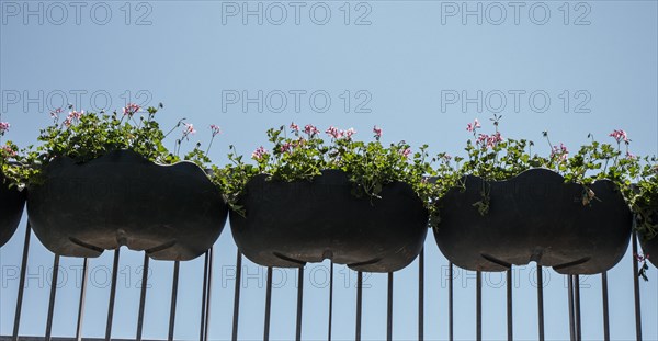 Fresh colorful Flowers put in vases at the florists