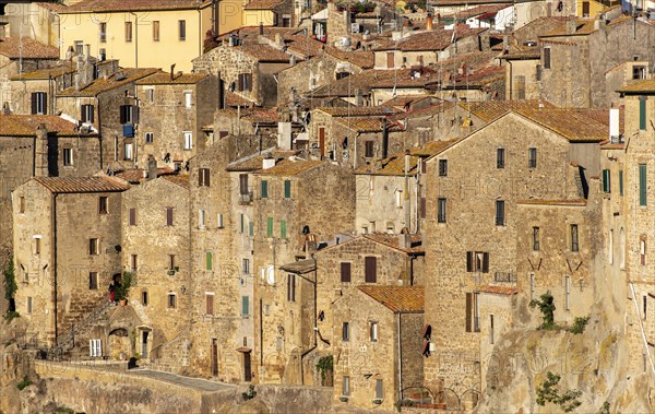 View of Pitigliano Old Town