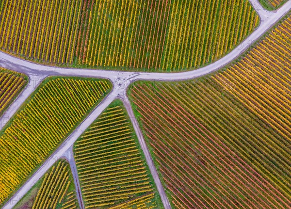 Drone image