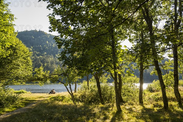 Mountain lake in summer