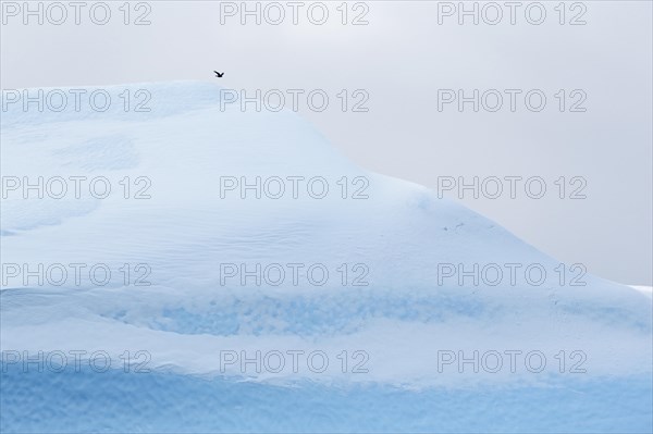 Large blue and white iceberg. Covered partially with snow