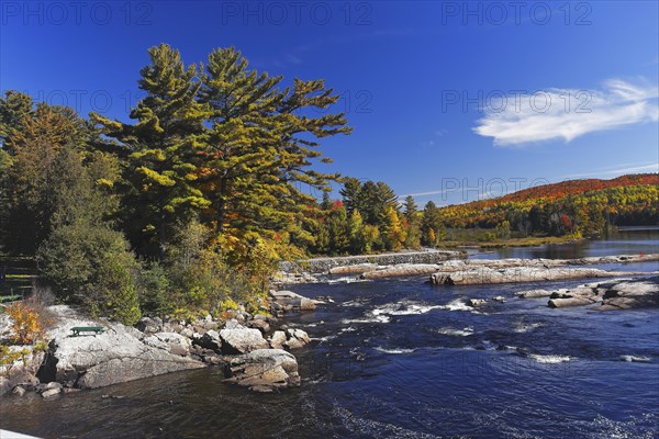 Parc des Cascades