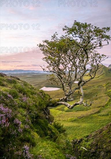 View of rocky landscape Quiraing at sunrise