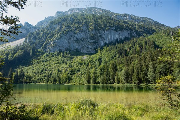 Frillensee water surface against a mountain backdrop with trees against a blue sky