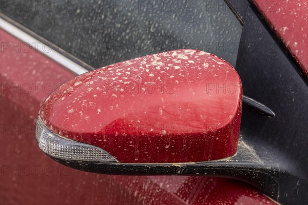 Sahara dust on car