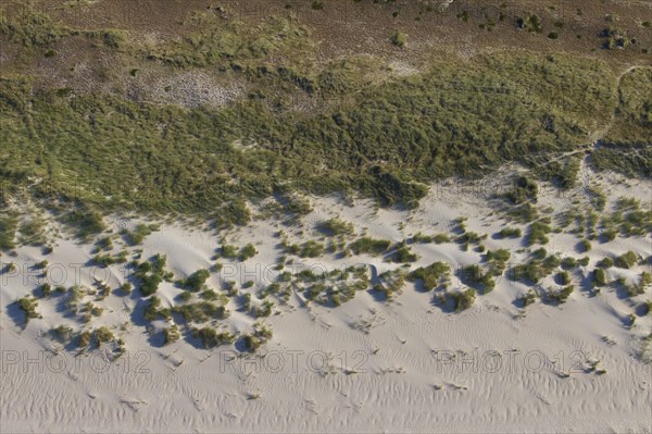 Aerial view over the dunes on Amrum island in the Wadden Sea