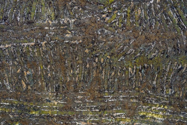 Aerial view over Swedish clearcut area
