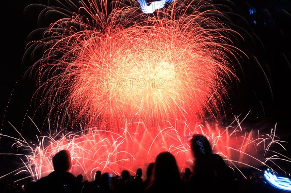 The International Fireworks Competition in Herrenhaeuser Gardens