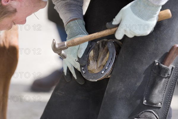 Farrier in case of seizure of a horse