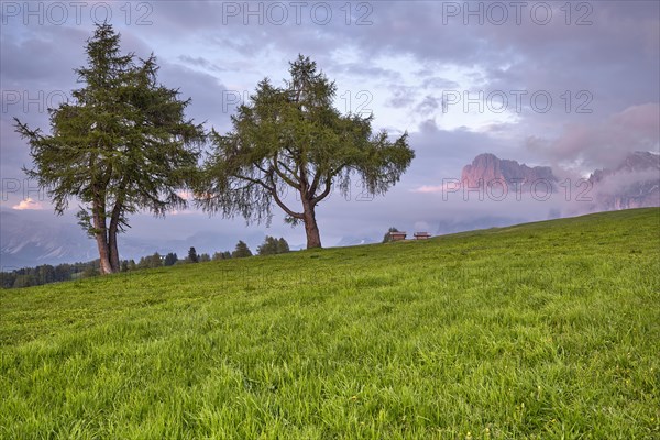 Alpine huts on the Alpe di Siusi