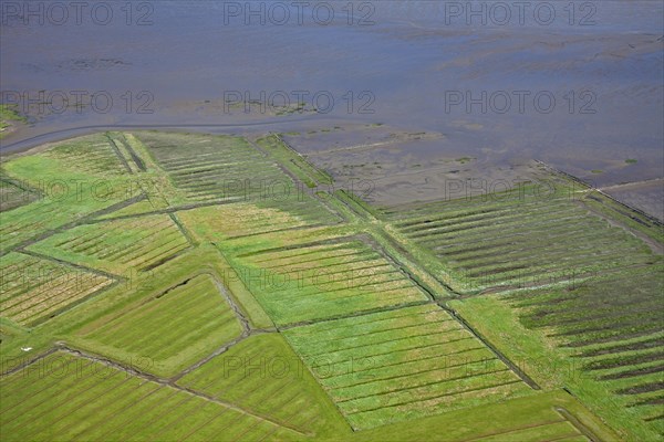 Aerial view over salt marsh of the Wadden Sea National Park