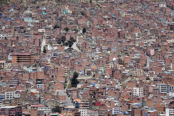 View over the city La Paz