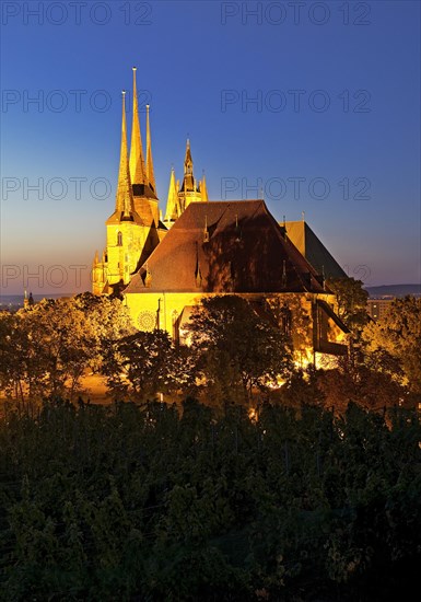 Severi Church and Erfurt Cathedral in the evening seen from Petersberg