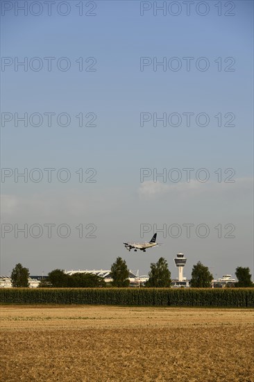 Star Alliance Airbus A320 landing on Runway North with Tower Munich Airport and cornfield in foreground