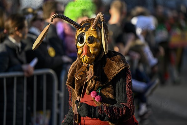 Fools Guild Umbeisen and Witches from Ohlsbach at the Great Carnival Parade