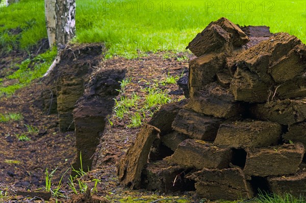 Peat cutting in the Teufelsmoor in Worpswede