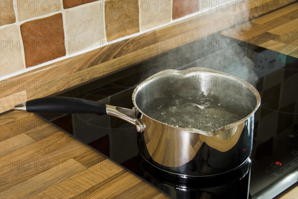 Stainless steel saucepan of boiling water