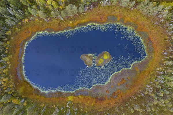 Aerial view over small pond with blue water in bog