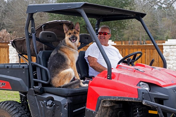 Man with German shepherd dog in Polaris Ranger 500 EFI utility task vehicle