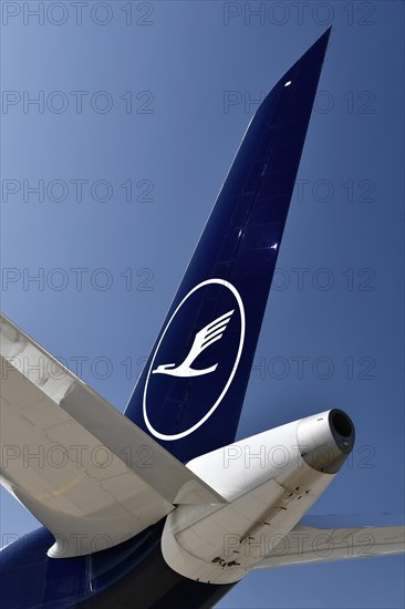 Lufthansa Airbus A350-900 New Livery Tailplane