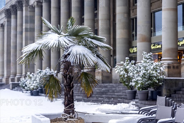 Winter at the Koenigsbau