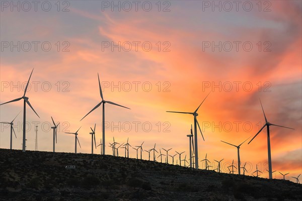 Windmills at sunset in California